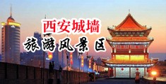 骚屄白浆中国陕西-西安城墙旅游风景区